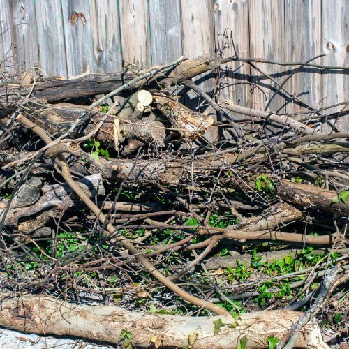 Pile of cut branches and logs beside a wooden fence